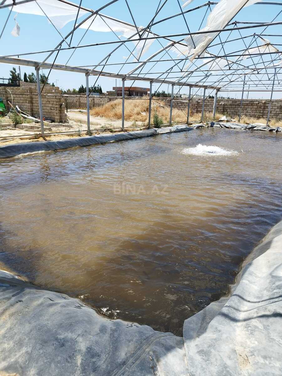 Obyekt - Türkan q. - 10000 m² (15)