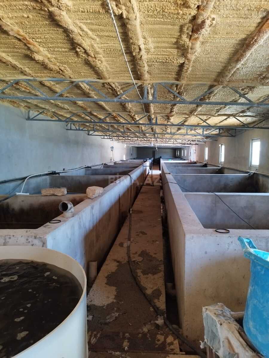 Obyekt - Türkan q. - 10000 m² (21)