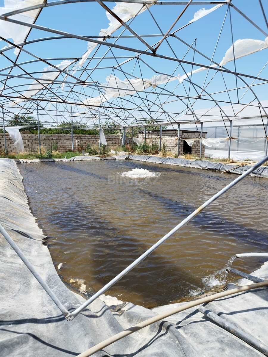 Obyekt - Türkan q. - 10000 m² (16)