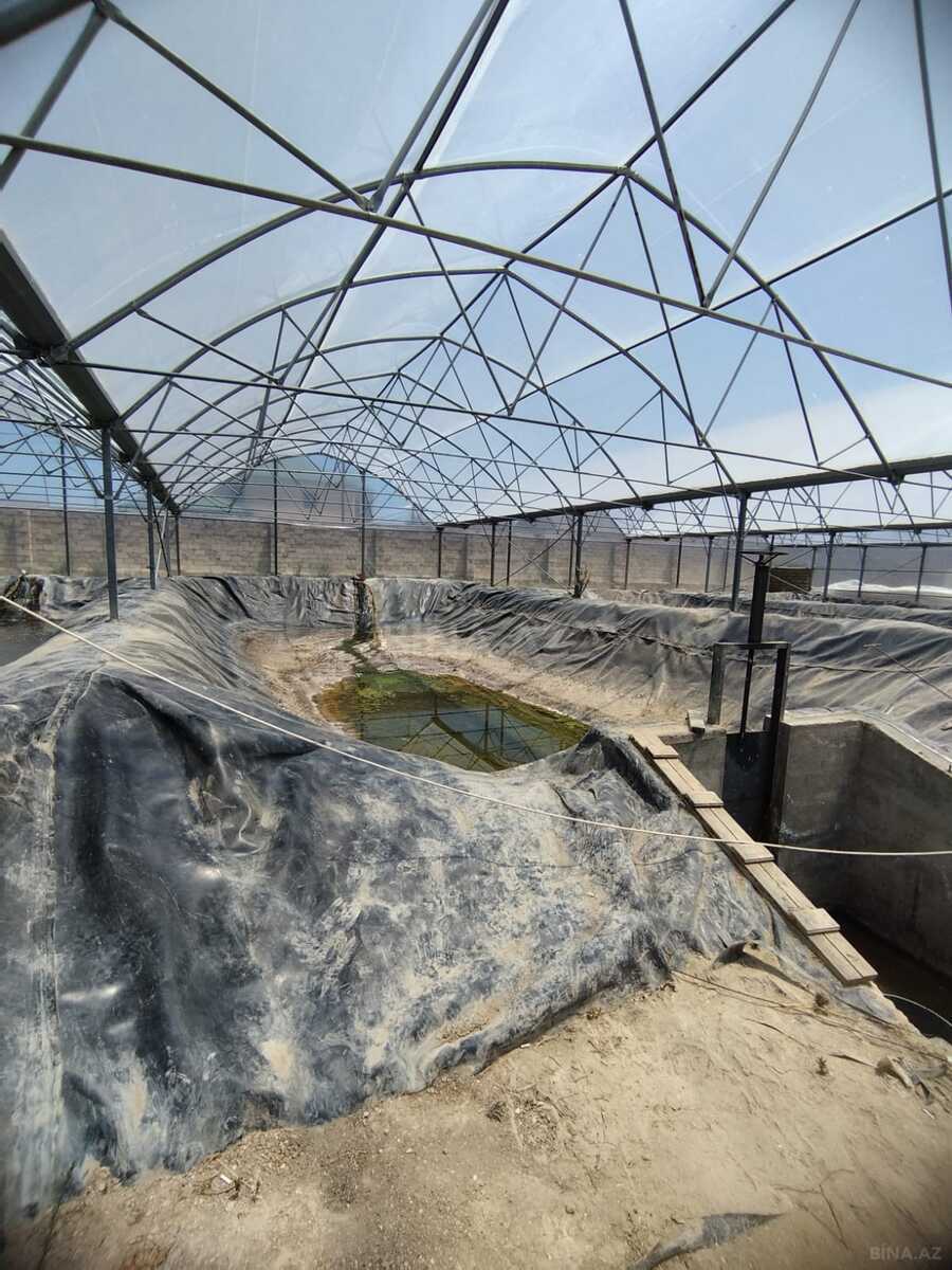 Obyekt - Türkan q. - 10000 m² (18)