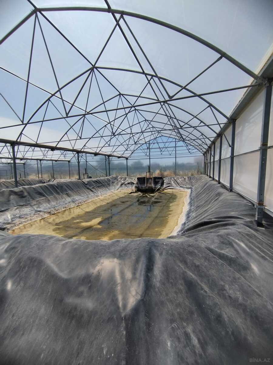 Obyekt - Türkan q. - 10000 m² (2)
