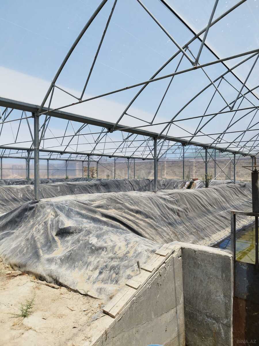 Obyekt - Türkan q. - 10000 m² (4)