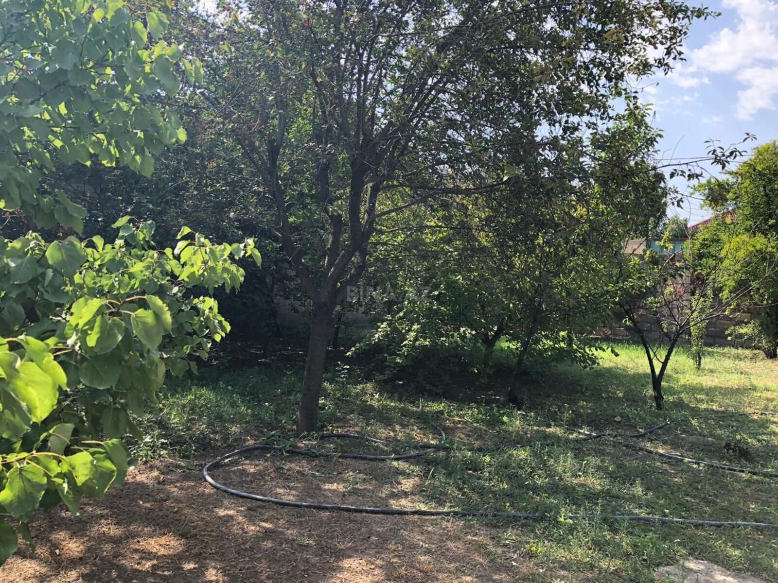 4 otaqlı həyət evi/bağ evi - Bərdə - 154.2 m² (3)