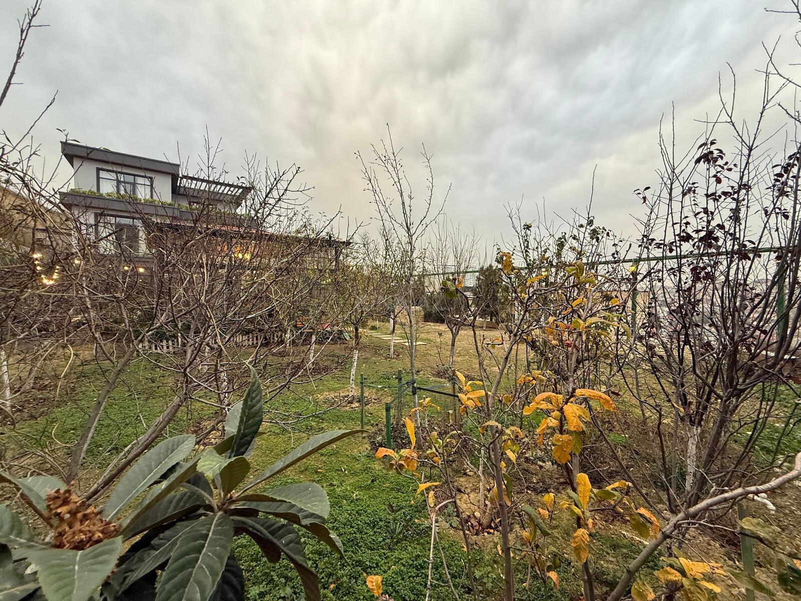 5 otaqlı həyət evi/bağ evi - Badamdar q. - 500 m² (28)