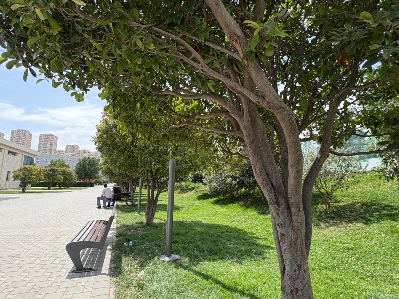 2 otaqlı yeni tikili - Elmlər Akademiyası m. - 75 m² (1)