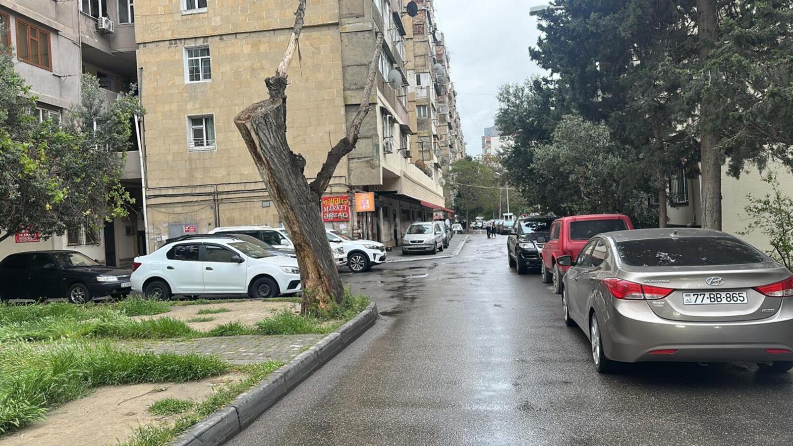 1 otaqlı ofis - Gənclik m. - 14 m² (1)