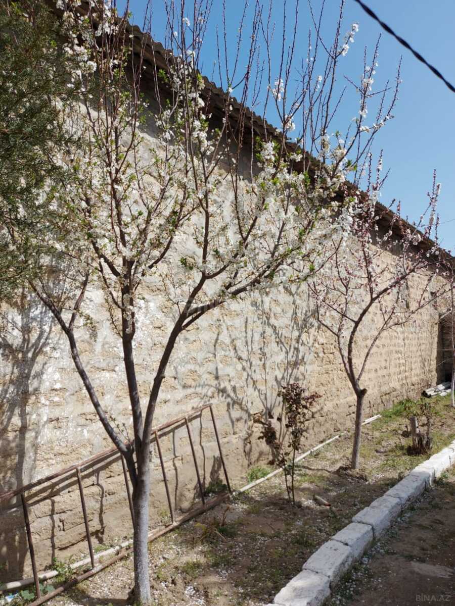 5 otaqlı həyət evi/bağ evi - Mərdəkan q. - 250 m² (14)