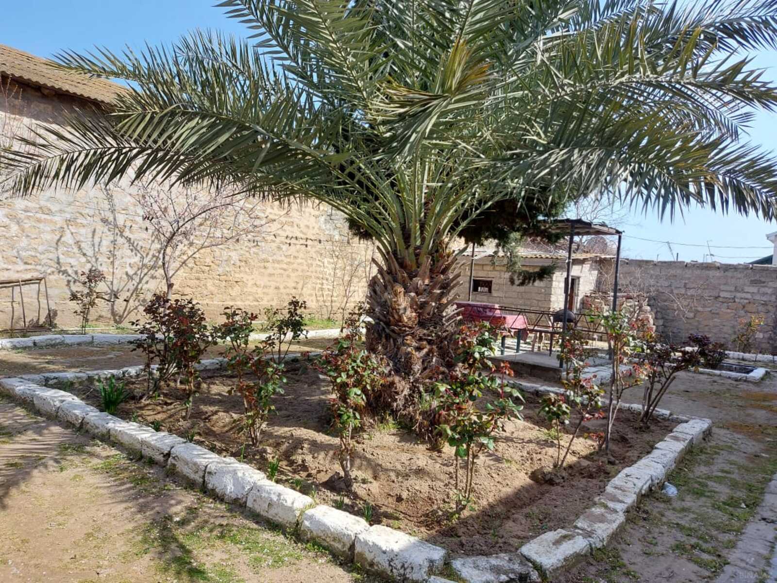 5 otaqlı həyət evi/bağ evi - Mərdəkan q. - 250 m² (7)