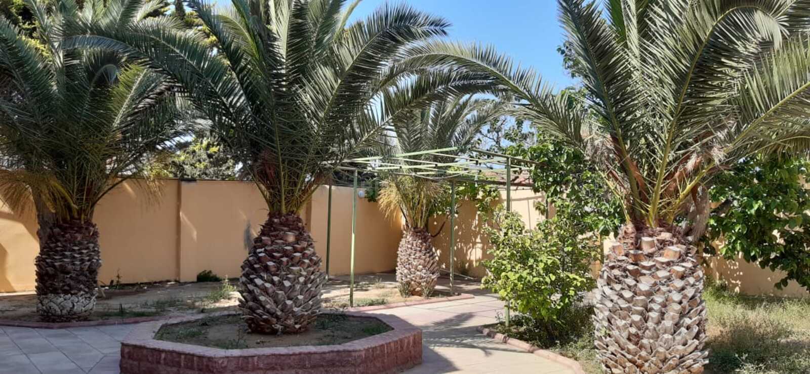 6 otaqlı həyət evi/bağ evi - Buzovna q. - 280 m² (5)