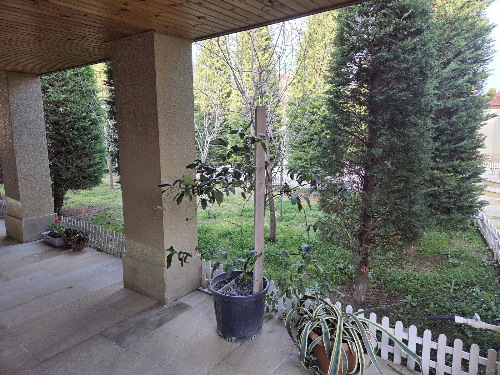 5-комн. дом/дача - пос. Мардакан - 220 м² (3)