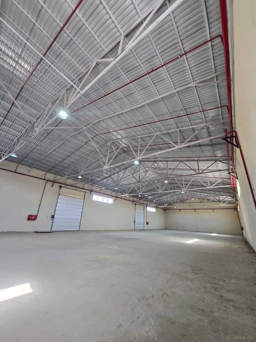 Obyekt - Puta q. - 1000 m² (5)