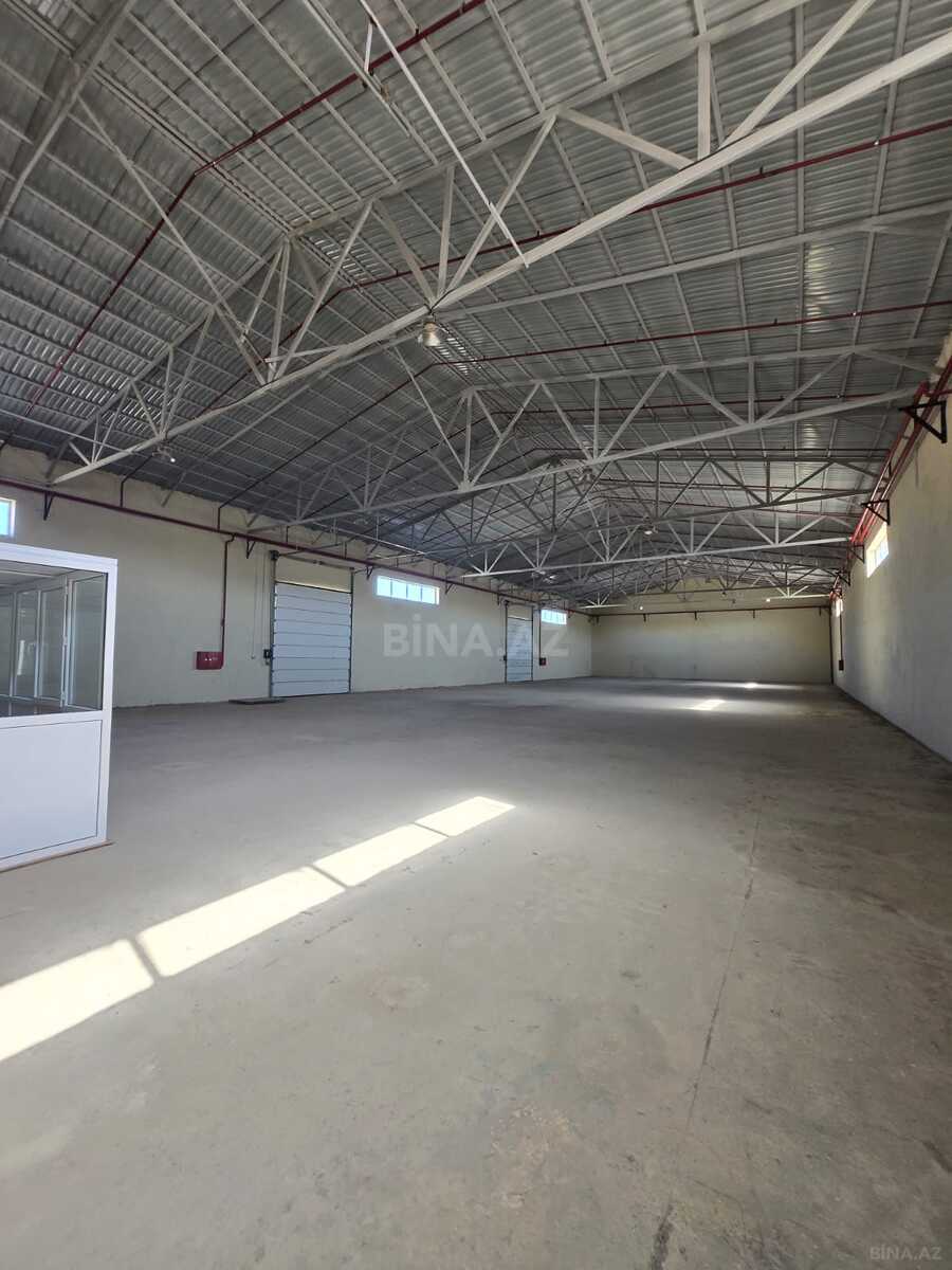 Obyekt - Puta q. - 1000 m² (6)