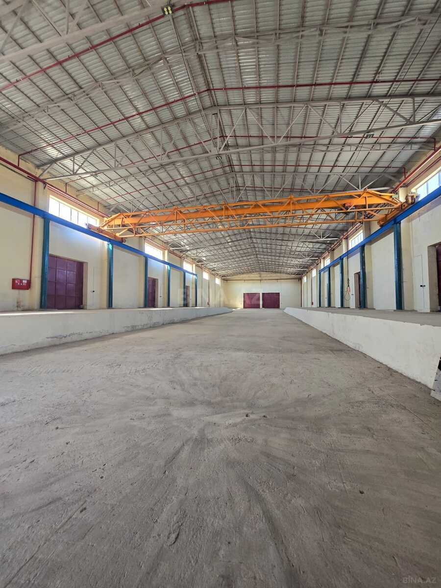 Obyekt - Puta q. - 1000 m² (2)