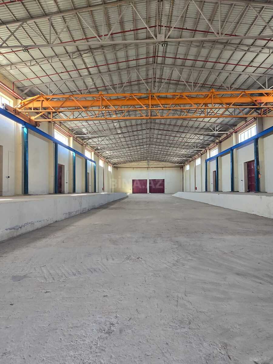 Obyekt - Puta q. - 1000 m² (1)