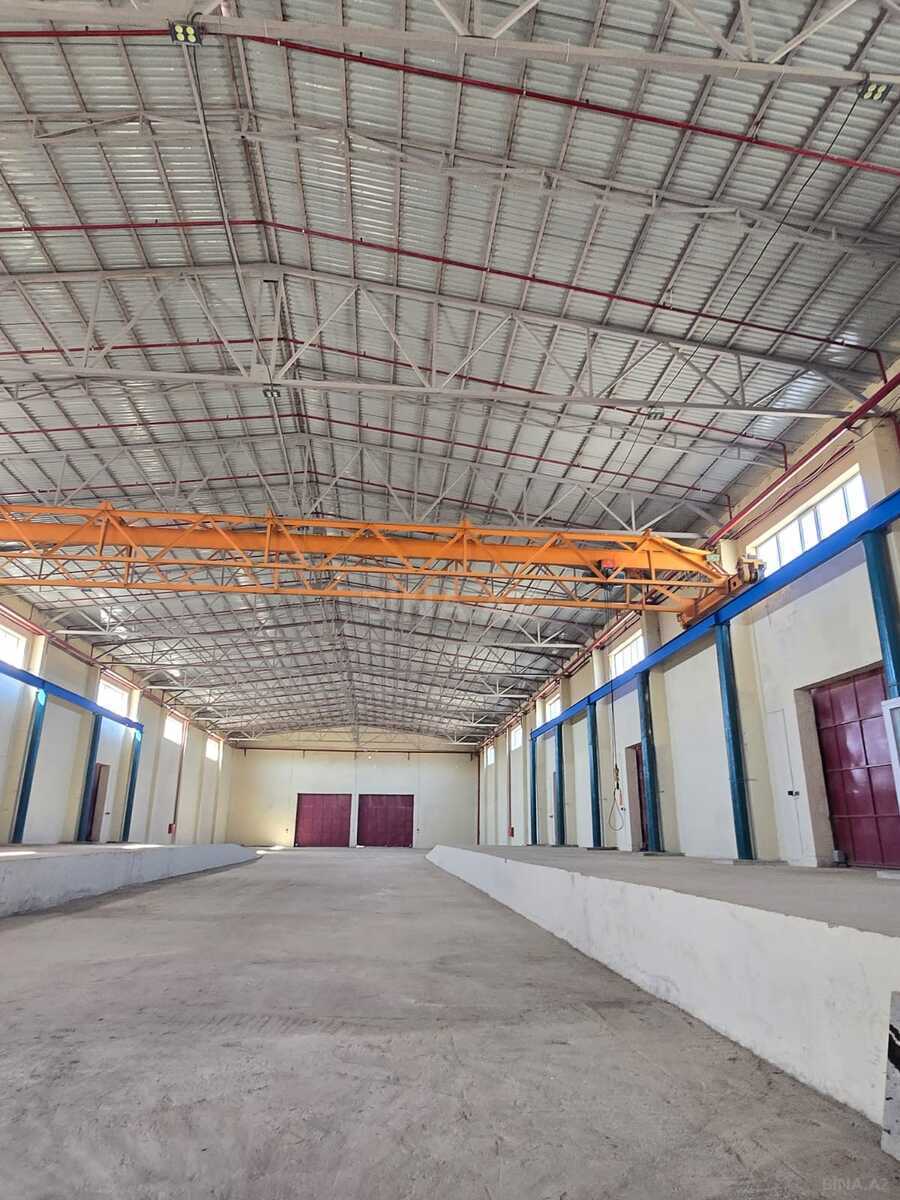 Obyekt - Puta q. - 1000 m² (8)