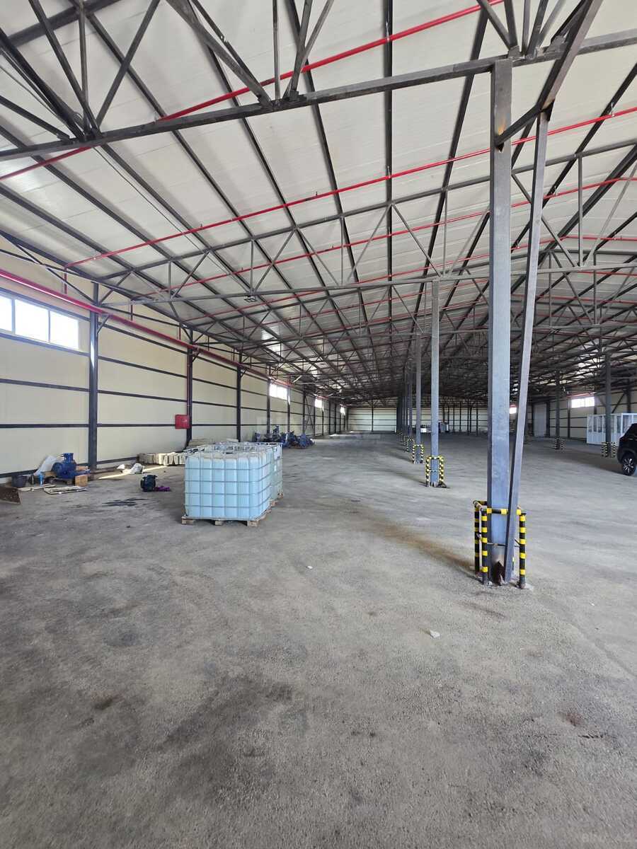 Obyekt - Puta q. - 1000 m² (10)