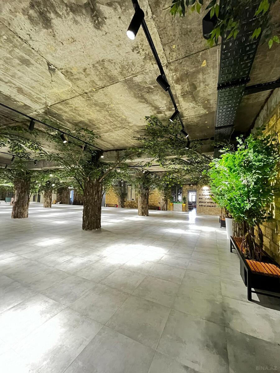 1 otaqlı ofis - Şah İsmayıl Xətai m. - 110 m² (15)