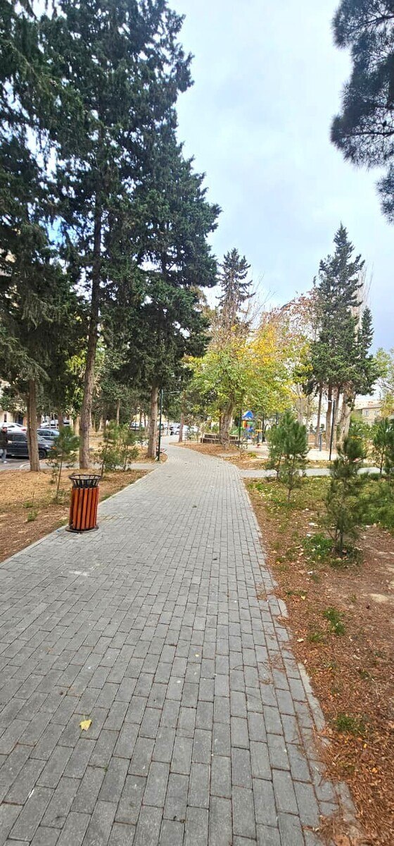 3 otaqlı köhnə tikili - Həzi Aslanov m. - 90 m² (19)