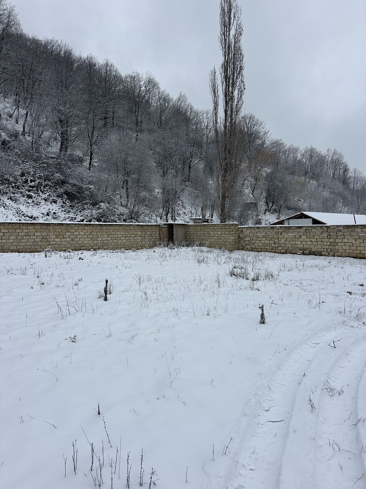 Участок - Губа - 12 сот (16)