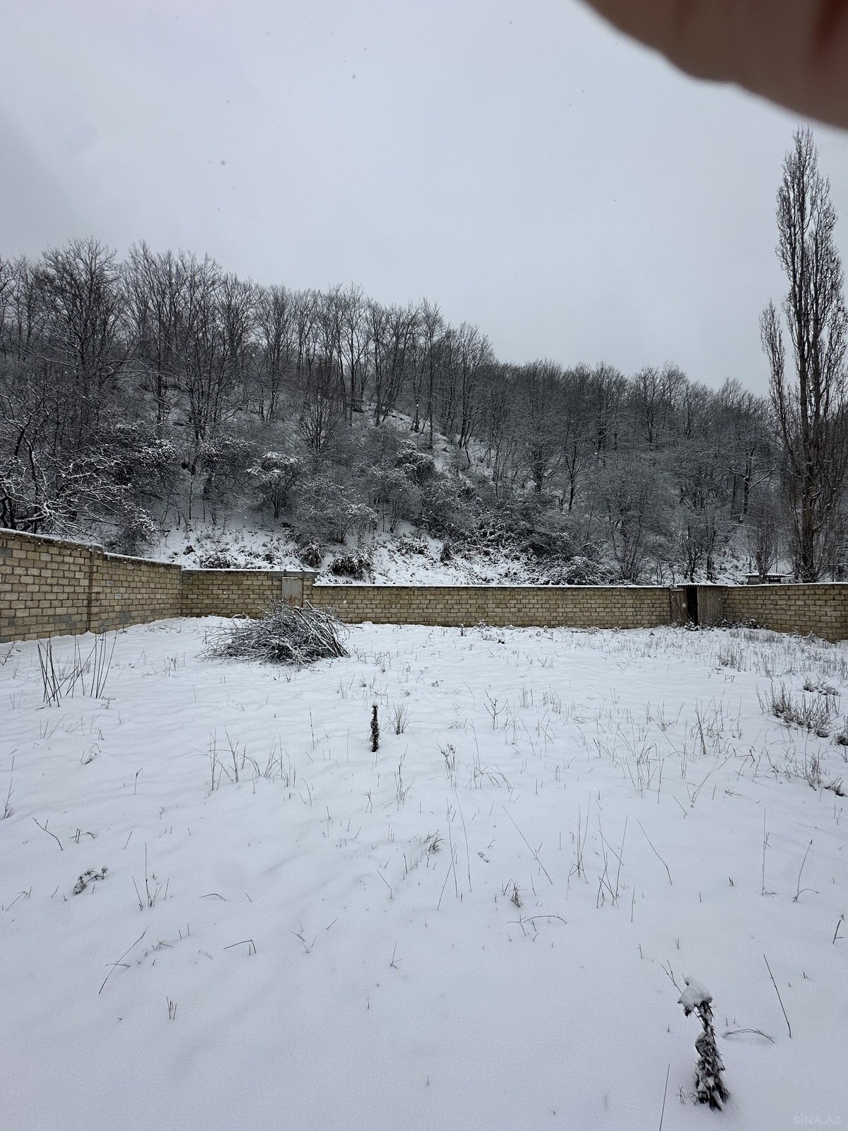Участок - Губа - 12 сот (6)