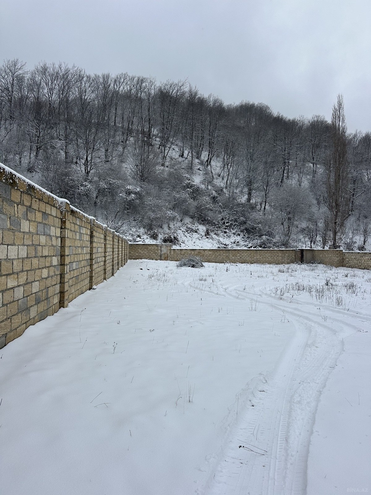 Участок - Губа - 12 сот (13)