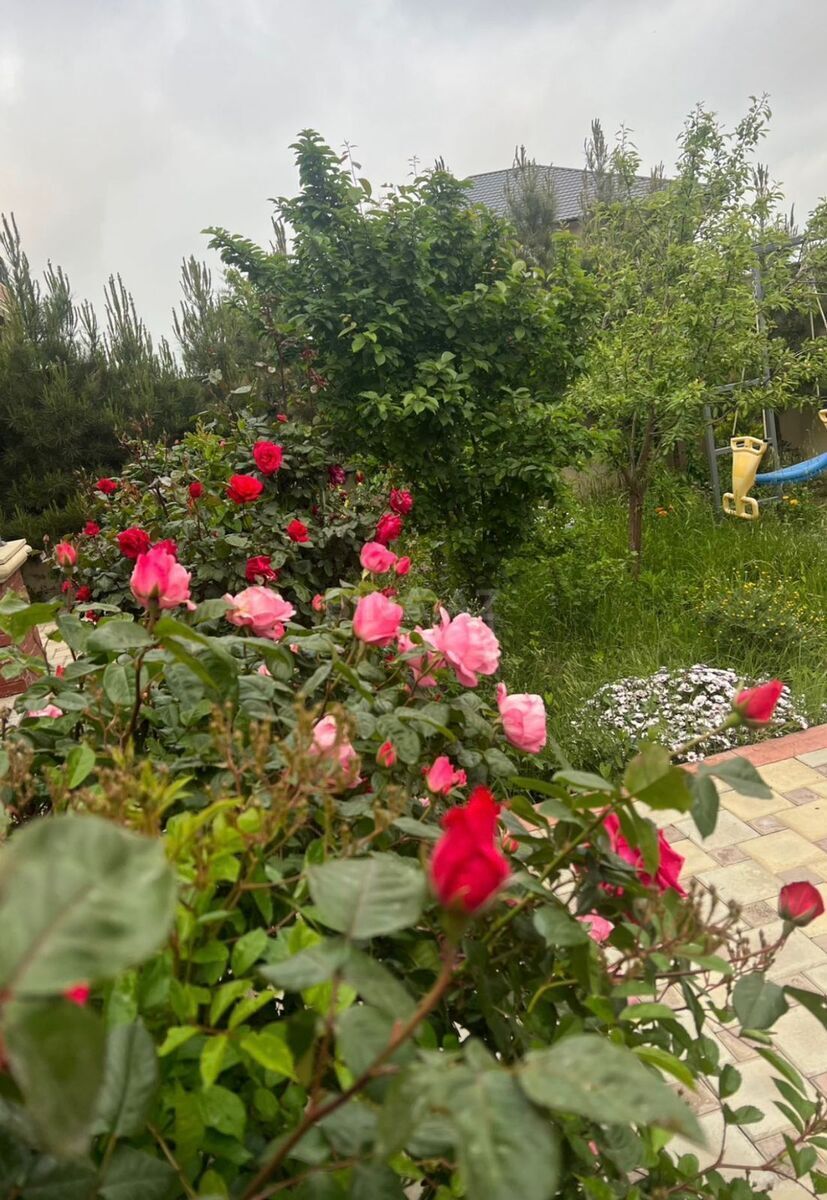 4 otaqlı həyət evi/bağ evi - Badamdar q. - 166 m² (5)