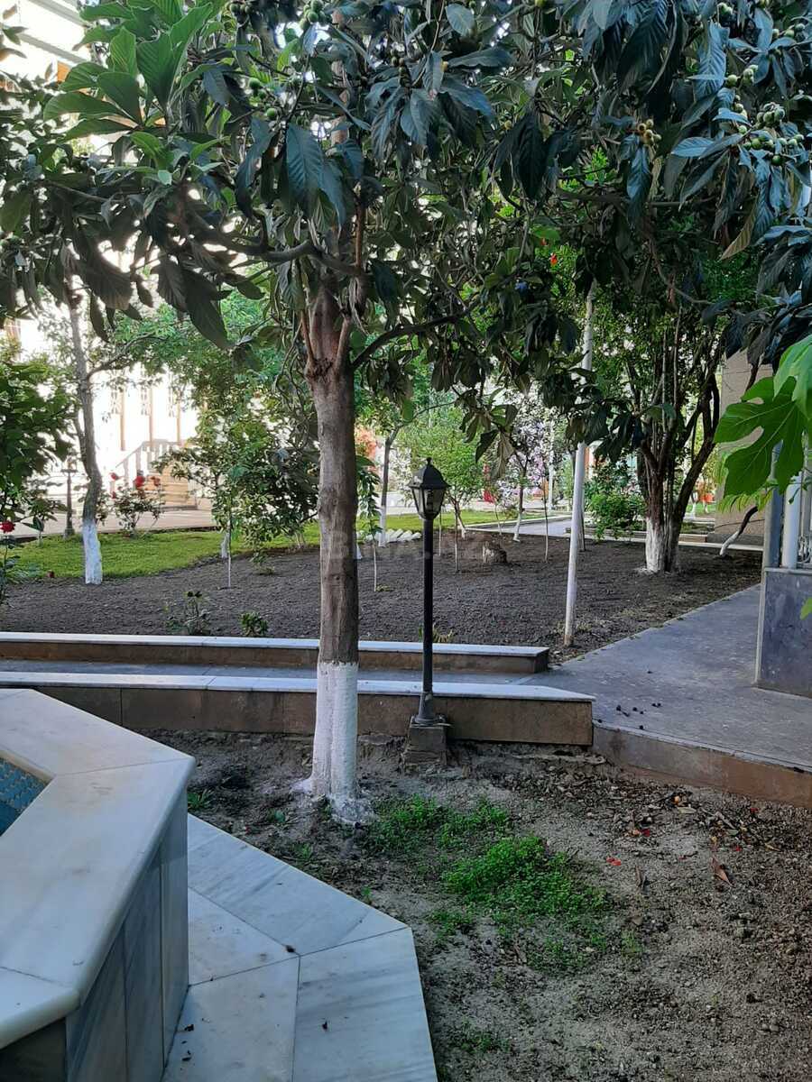 7 otaqlı həyət evi/bağ evi - Sabunçu r. - 670 m² (8)