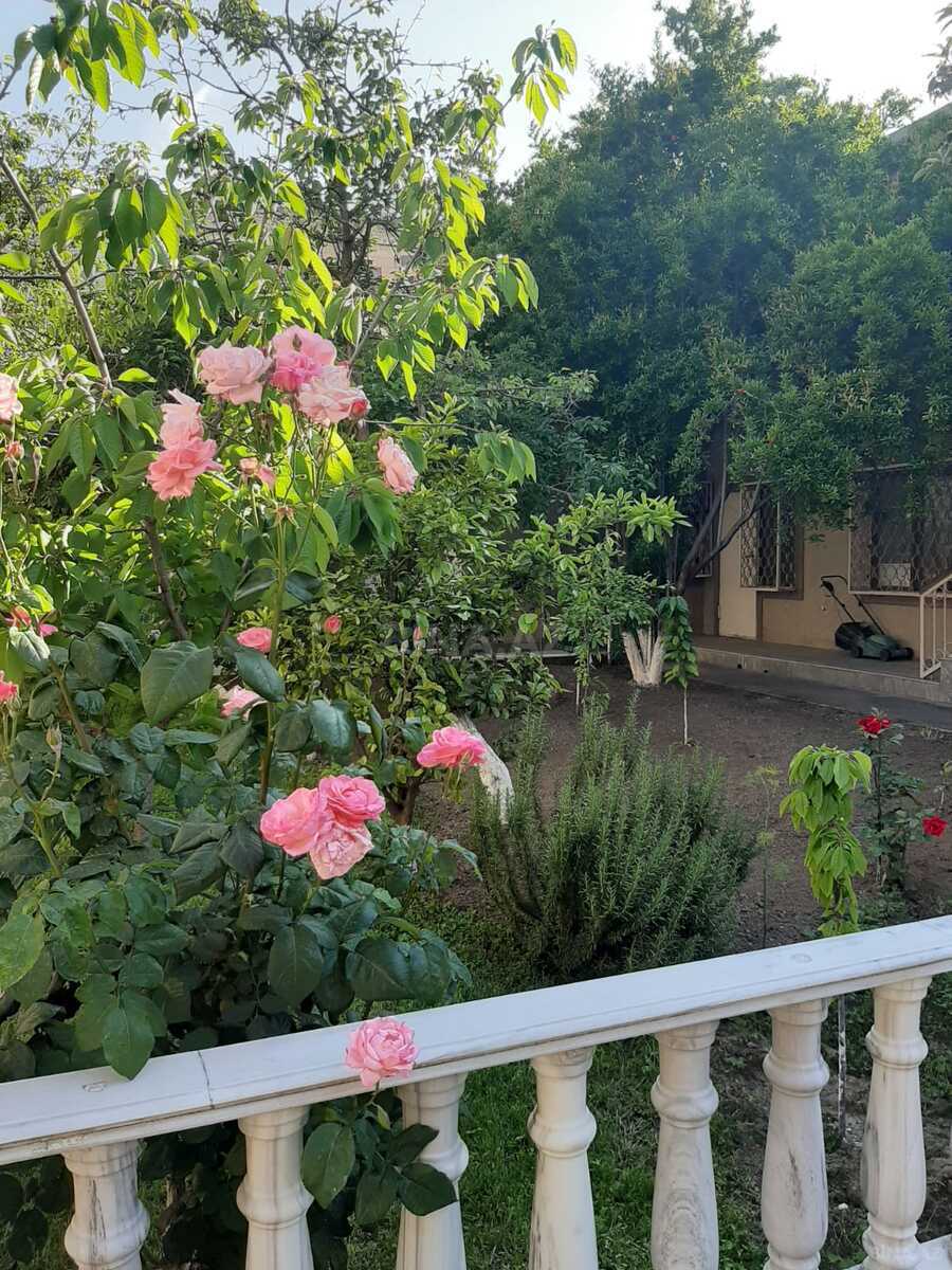 7 otaqlı həyət evi/bağ evi - Sabunçu r. - 670 m² (3)