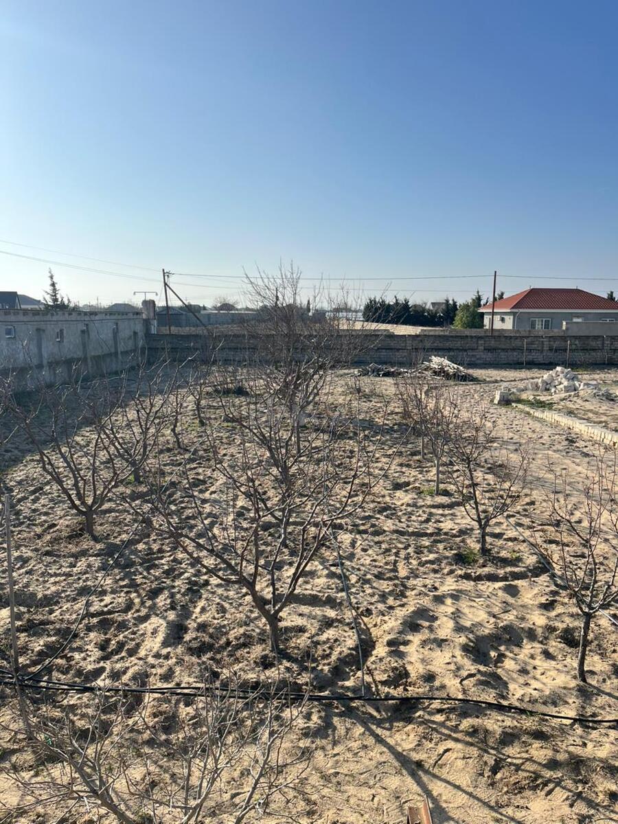 4 otaqlı həyət evi/bağ evi - Türkan q. - 161 m² (8)