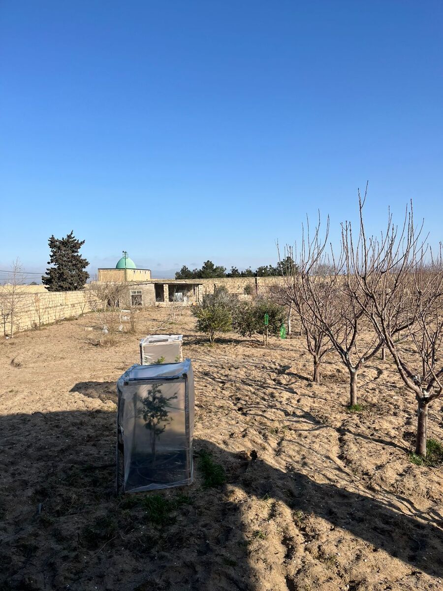 4 otaqlı həyət evi/bağ evi - Türkan q. - 161 m² (12)