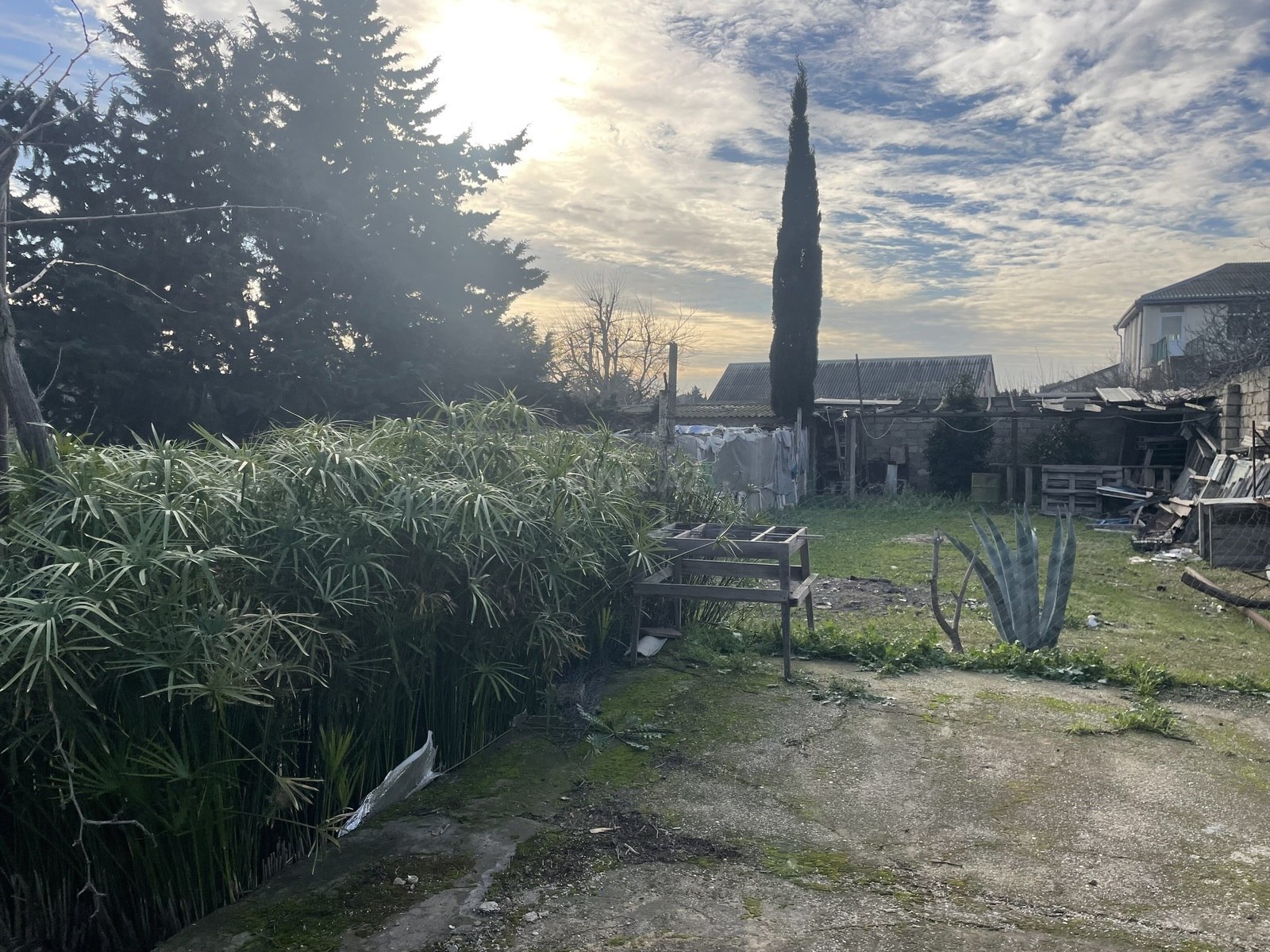 4 otaqlı həyət evi/bağ evi - Albalılıq q. - 150 m² (5)