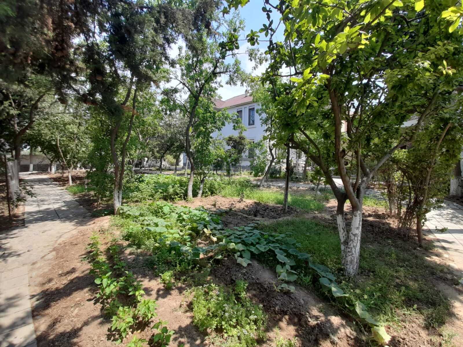 7-комн. дом/дача - пос. Бадамдар - 650 м² (6)