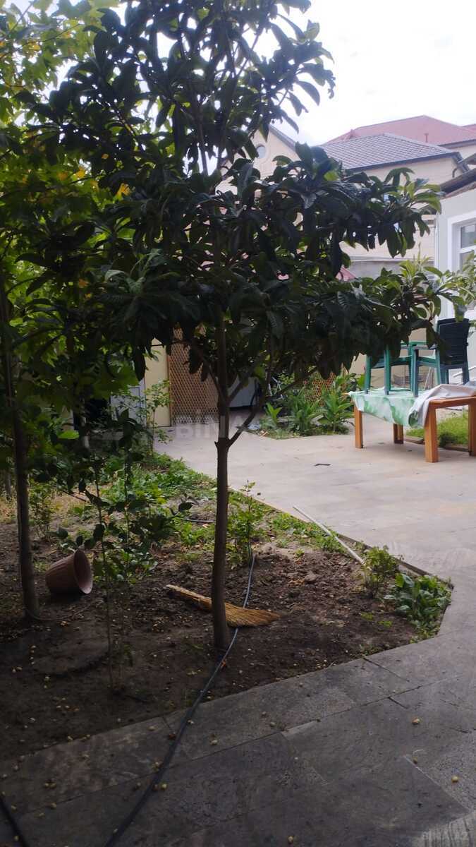 5 otaqlı həyət evi/bağ evi - Nəsimi m. - 200 m² (10)