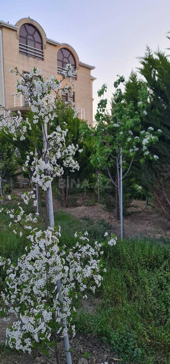 6 otaqlı həyət evi/bağ evi - Novxanı q. - 250 m² (14)
