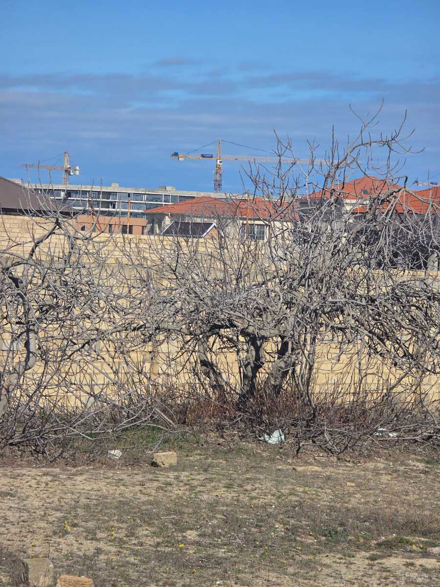 Участок - пос. Нардаран - 24 сот (11)