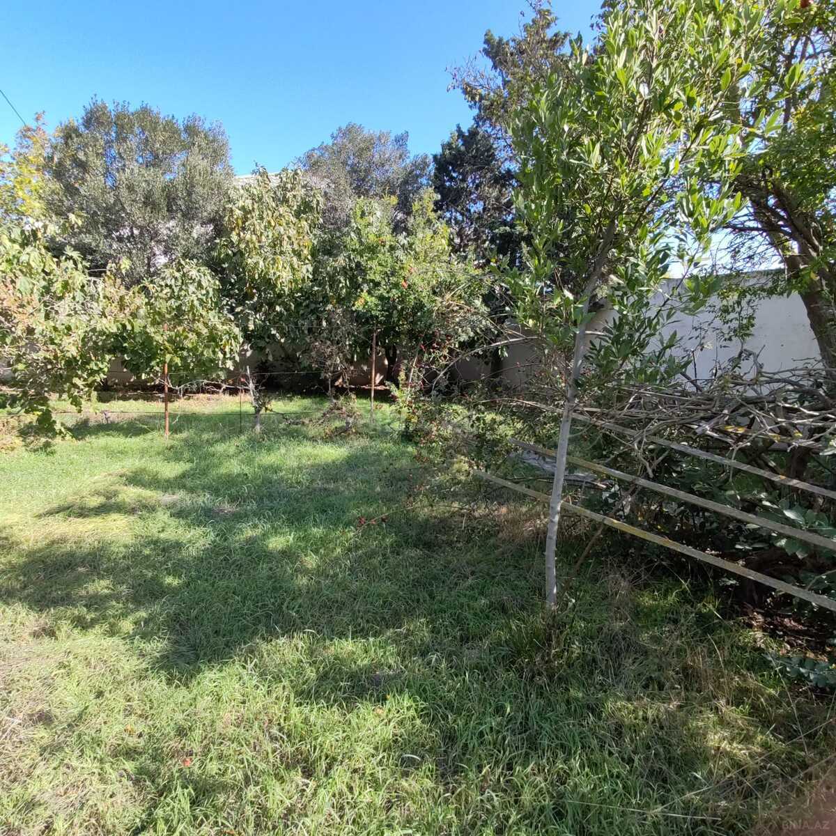 8 otaqlı həyət evi/bağ evi - Buzovna q. - 380 m² (11)