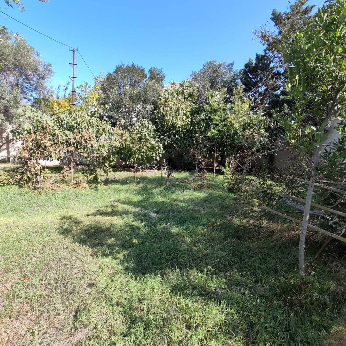 8 otaqlı həyət evi/bağ evi - Buzovna q. - 380 m² (17)