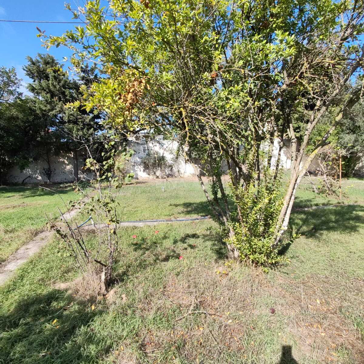 8 otaqlı həyət evi/bağ evi - Buzovna q. - 380 m² (9)