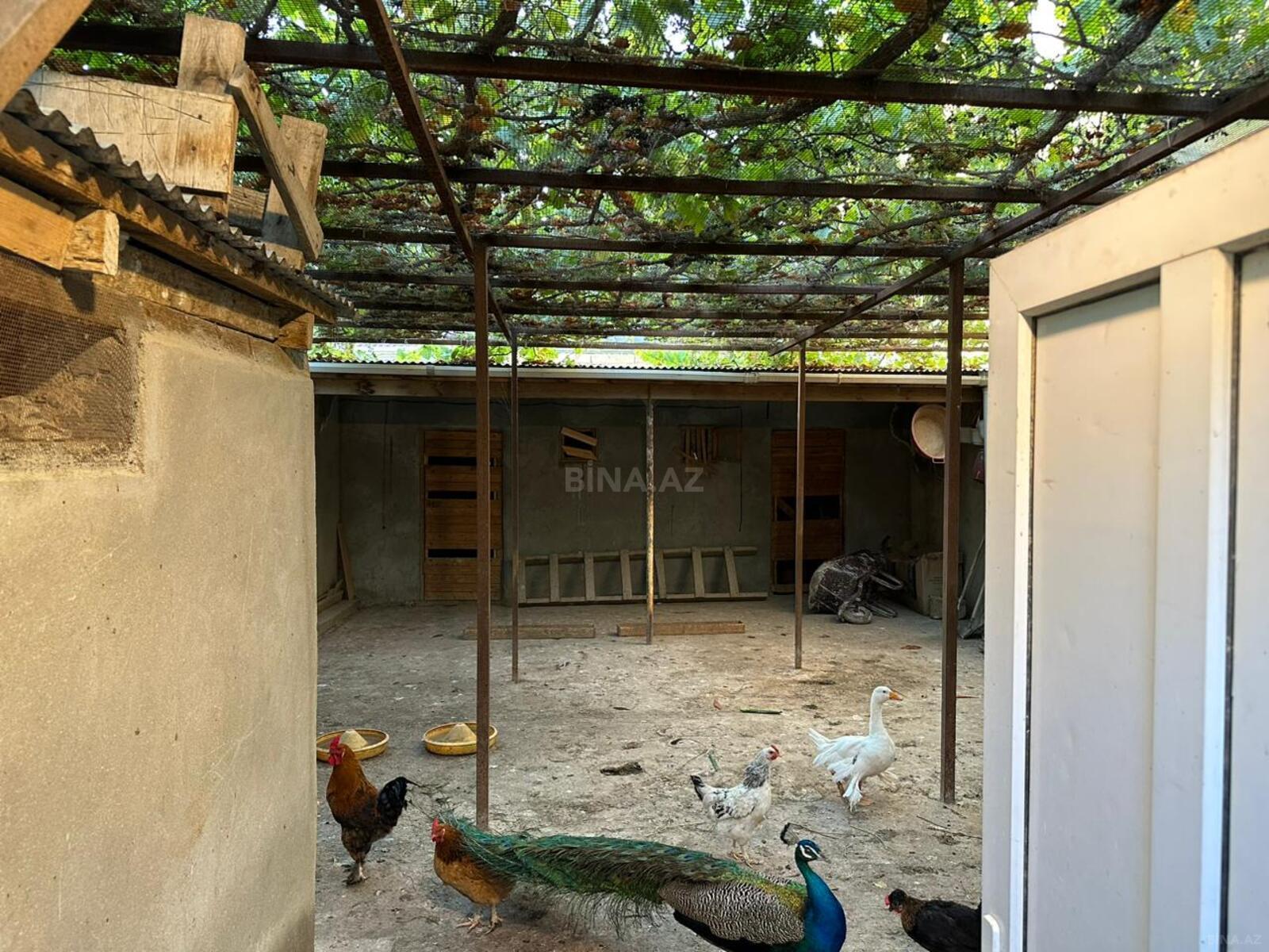 5 otaqlı həyət evi/bağ evi - Şağan q. - 240 m² (6)