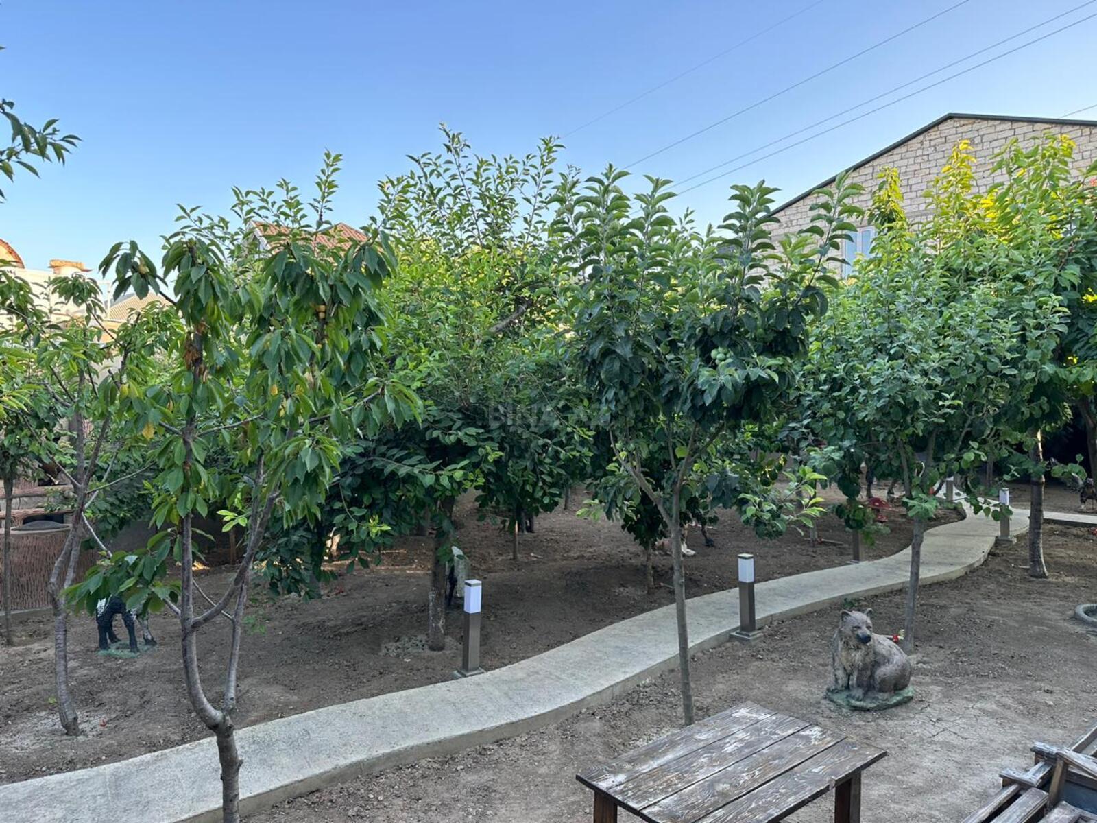 5 otaqlı həyət evi/bağ evi - Şağan q. - 240 m² (11)
