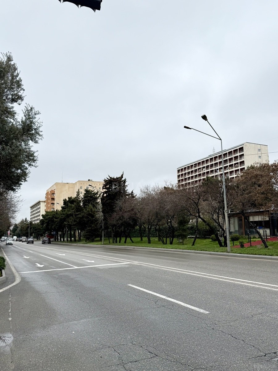 3 otaqlı yeni tikili - Azadlıq Prospekti m. - 100 m² (3)