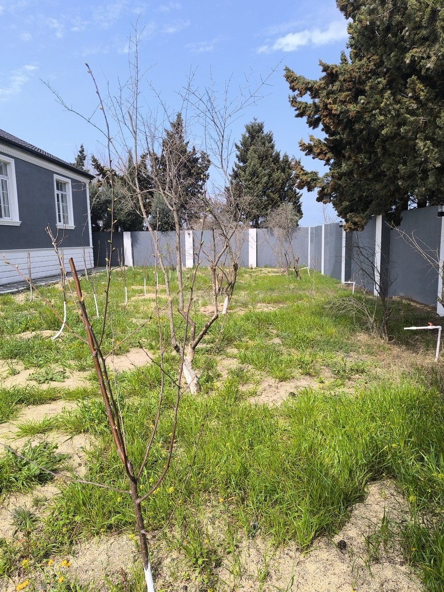 4 otaqlı həyət evi/bağ evi - Novxanı q. - 150 m² (8)