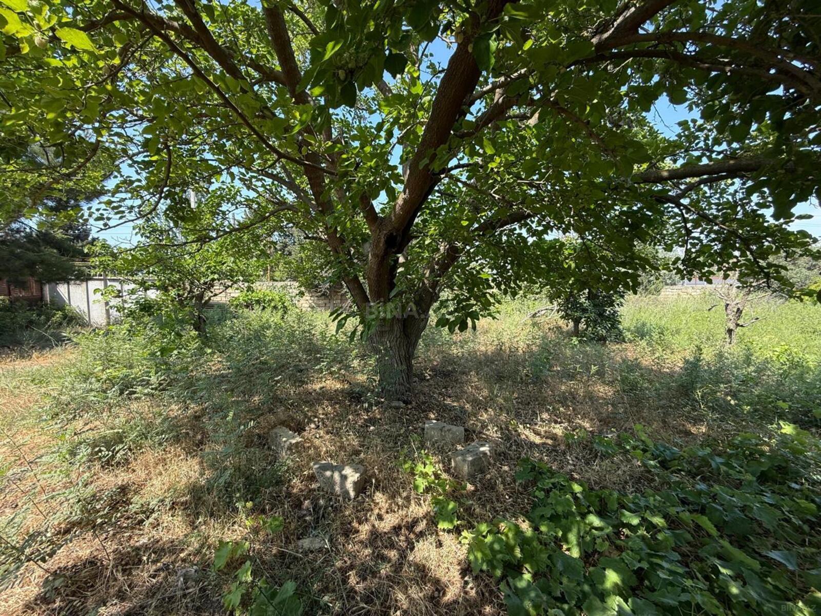 5 otaqlı həyət evi/bağ evi - Novxanı q. - 180 m² (14)