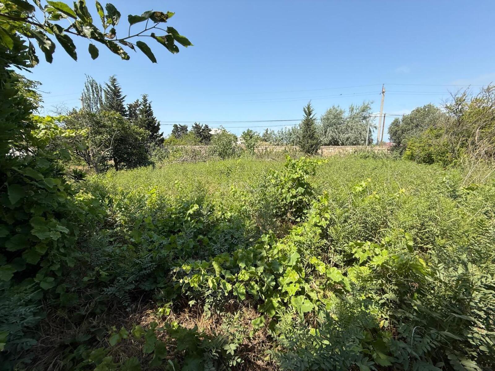 5 otaqlı həyət evi/bağ evi - Novxanı q. - 180 m² (12)