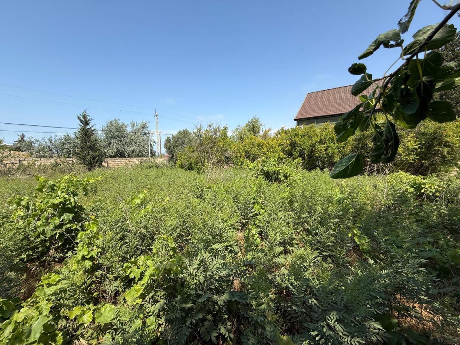 5 otaqlı həyət evi/bağ evi - Novxanı q. - 180 m² (7)