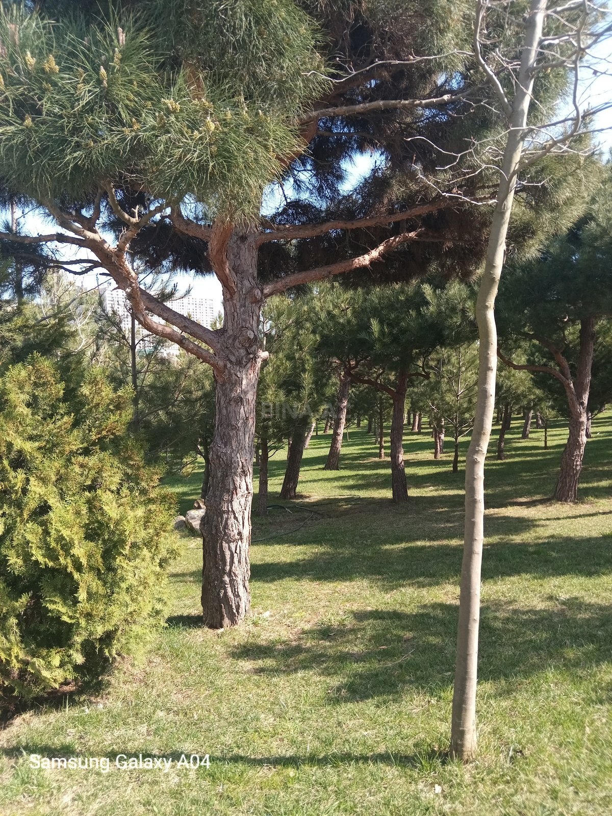 2 otaqlı yeni tikili - Həzi Aslanov m. - 55 m² (3)