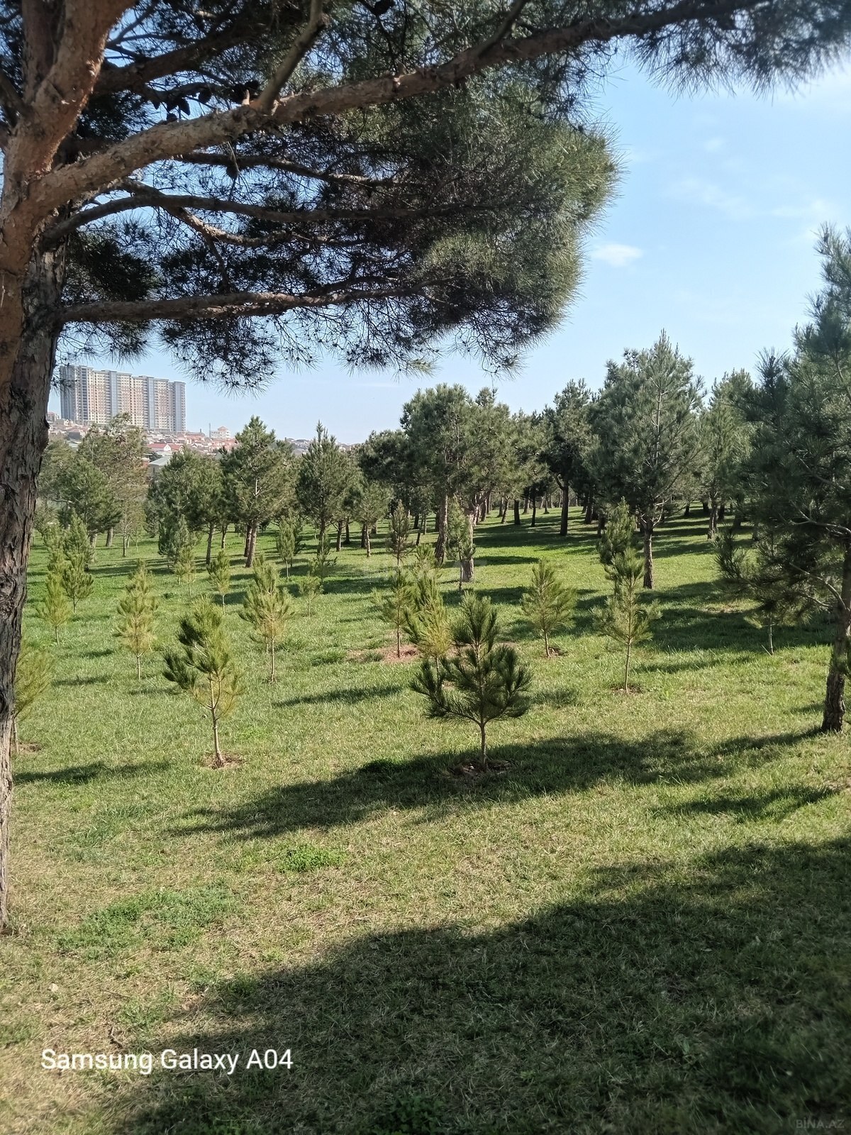 2 otaqlı yeni tikili - Həzi Aslanov m. - 55 m² (2)