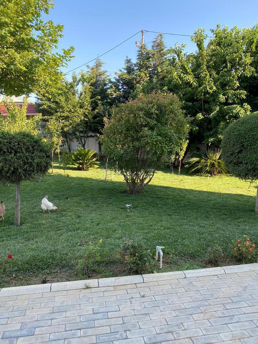5 otaqlı həyət evi/bağ evi - Novxanı q. - 300 m² (3)