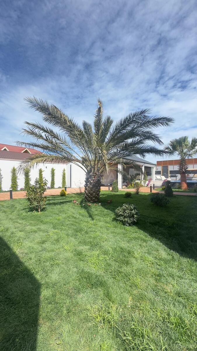 6 otaqlı həyət evi/bağ evi - Mərdəkan q. - 500 m² (8)