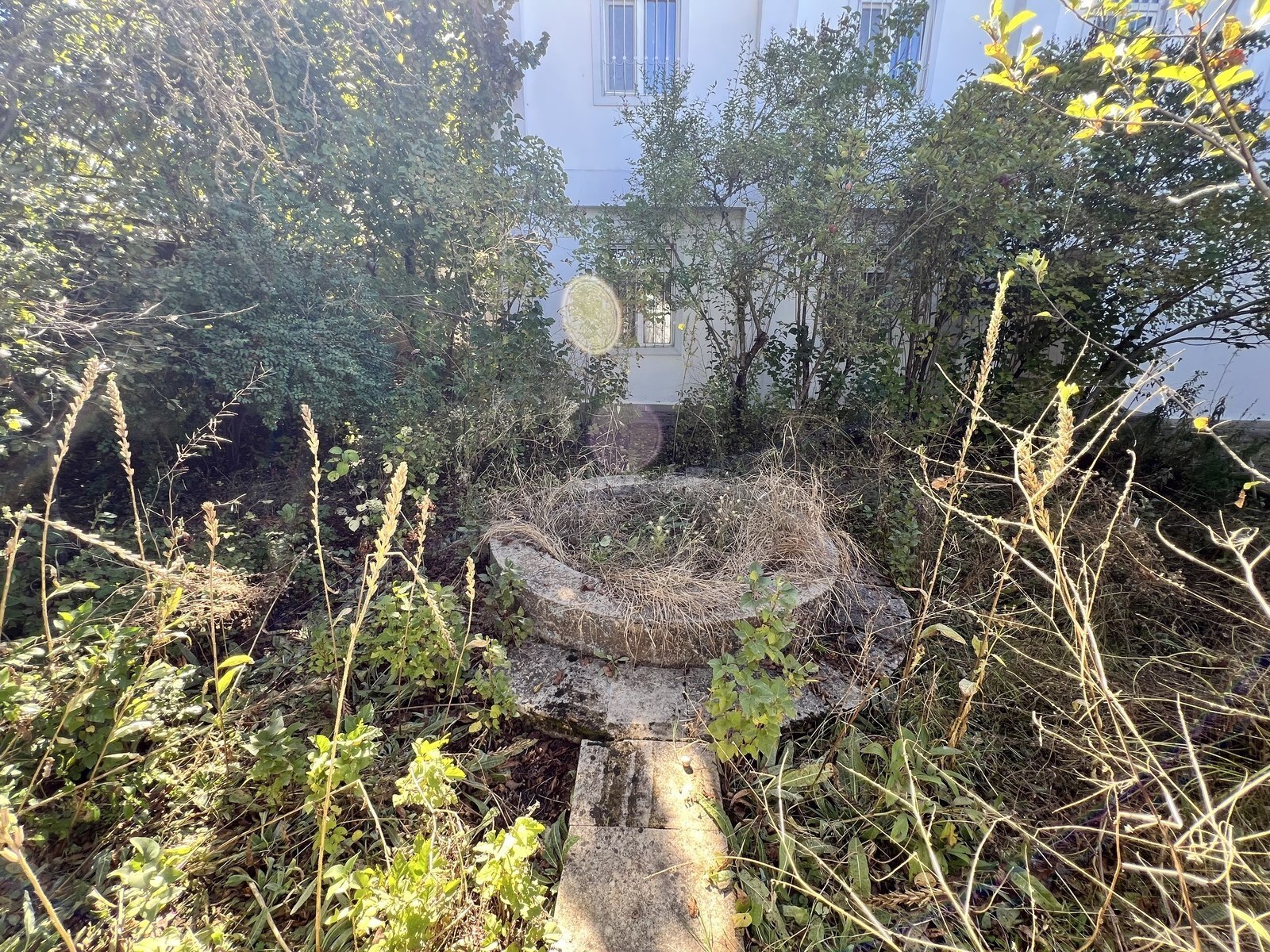 5 otaqlı həyət evi/bağ evi - Şamaxı - 164 m² (4)